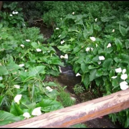 Il Mulino Sul Fiume San Lorenzo (Sassari)