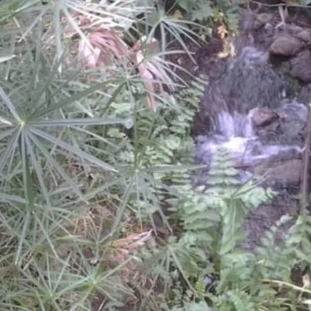 Il Mulino Sul Fiume בית נופש