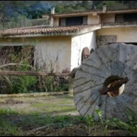 Il Mulino Sul Fiume * San Lorenzo (Sassari)